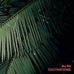 the album cover for Aura - Cultivation