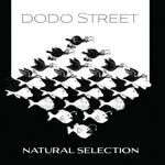 the album cover for Adams / Dodo Street Band / Byrne - Natural Selection