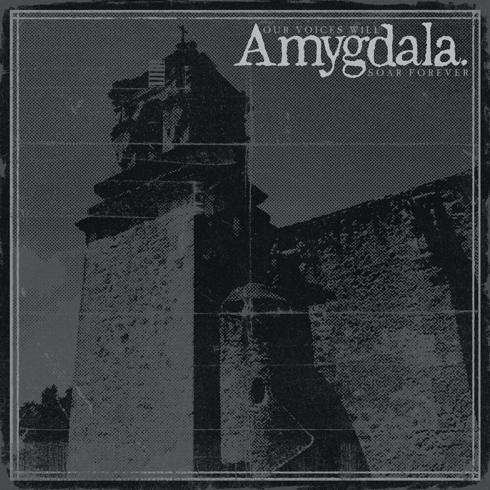 the album cover for Amygdala - Our Voices Will Soar Forever