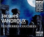 the album cover for Vandroux / Allaire - Pierres Couchees