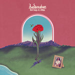 Bedouine - Canciones de pájaros de un aguafiestas (vinilo)