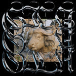 the album cover for Gila - Trench Tones (Ep) [Limited Edition]