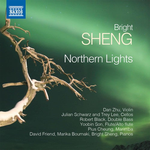 the album cover for Sheng / Zhu / Bournaki - Bright Sheng: Rthern Lights