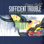 the album cover for Belet / Strange / Kirchoff - Brian Belet: Sufficient Trouble