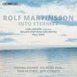 the album cover for Martinsson / Larsson / Magi - Into Eternity
