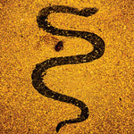 the album cover for Soror Dolorosa - Apollo [Digipak]