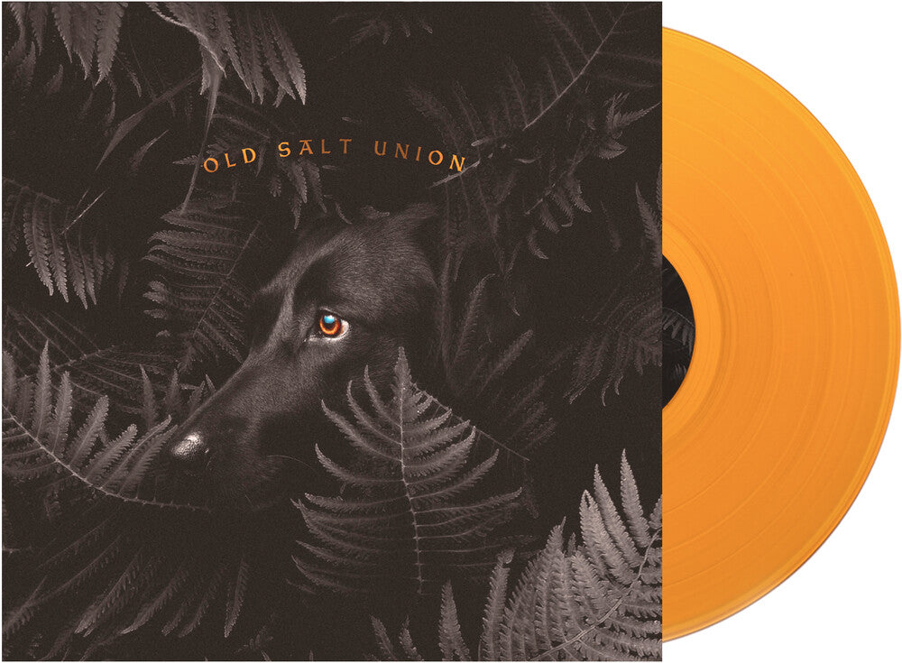the album cover for Old Salt Union - Where The Dogs Don't Bite [Limited Edition Orange LP]