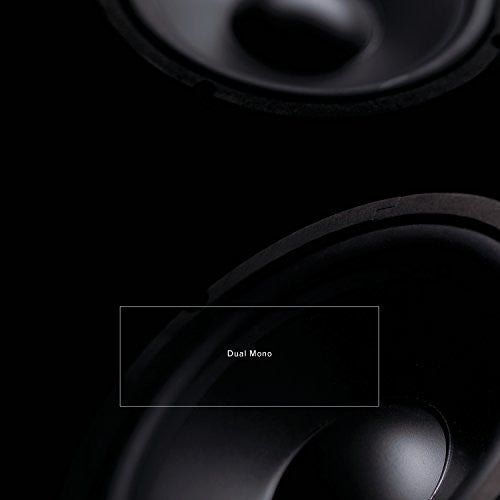 the album cover for Barreca / Leimer - Dual Mono