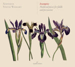 the album cover for Traditional / Sinfonye / Wishart - Medieval Pieces for Fiddle & Percussion