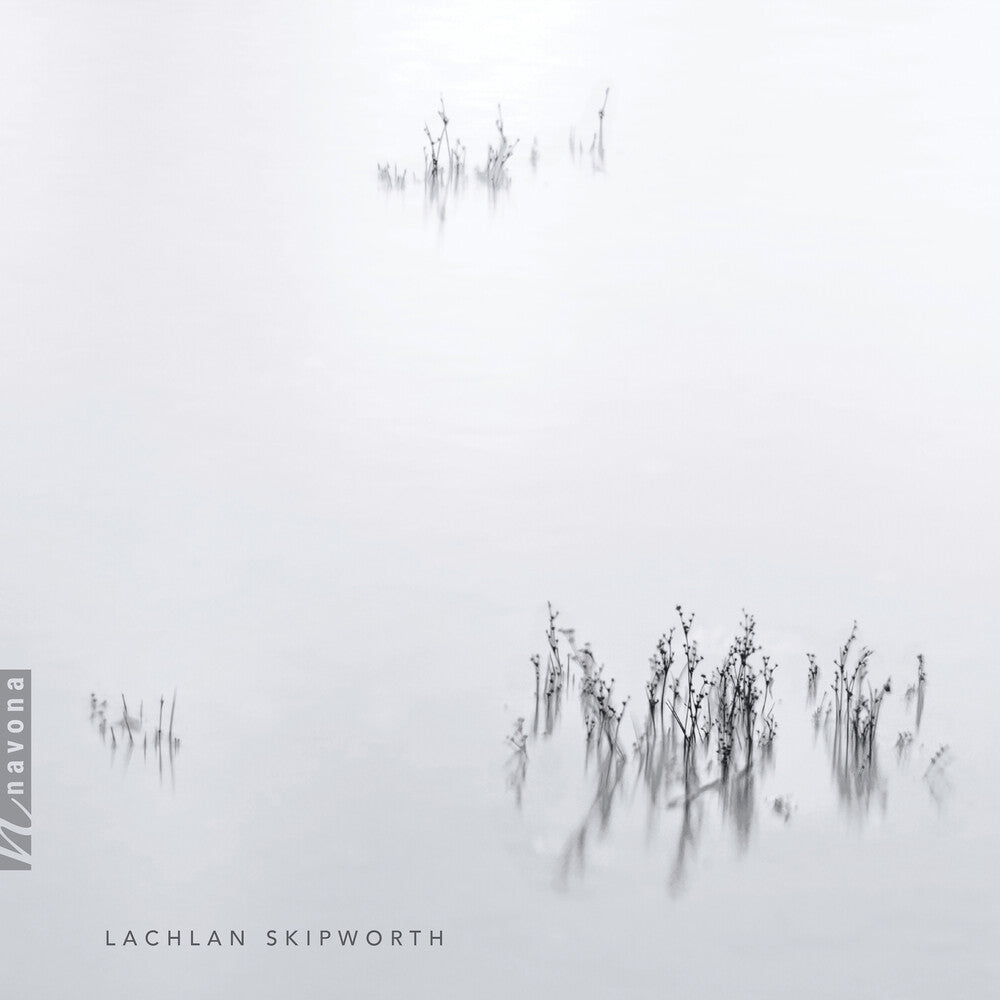 the album cover for Skipworth - Clarinet Quintet / Piano Trio