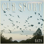 the album cover for Cub Sport - Bats