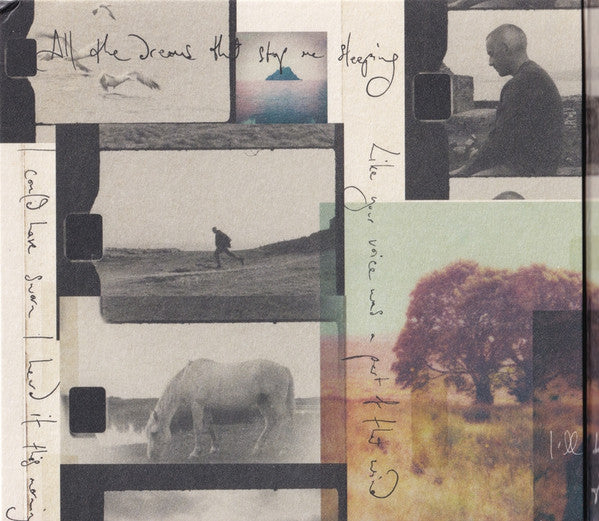 Dermot Kennedy : The Weight Of The Woods (CD, Album)