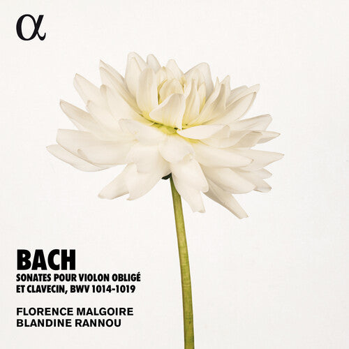 Sonates Violon Oblige (CD)