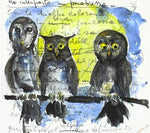 the album cover for Barbagiannas / Alessandro Ducoli - Gufi Allocchi Barbagianne E Altre Giovani Streghe