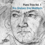 the album cover for Beethoven / Trio Shahm Erez Wallfisch - Piano Trio 1