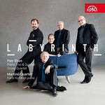 the album cover for Eben / Kosarek - Labyrinth