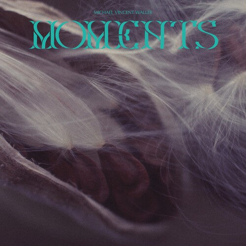 Michael Vincent Waller - Momentos (Vinilo)