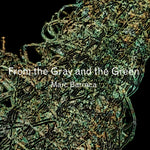 the album cover for Marc Barreca - From The Gray And The Green
