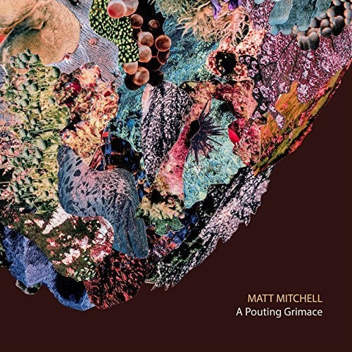 Matt Mitchell - Una mueca de pucheros (CD)