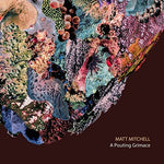Matt Mitchell - Una mueca de pucheros (CD)