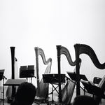 the album cover for Behavior - Spirits & Embellishments