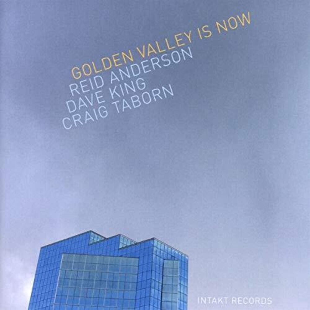 the album cover for Anderson / King / Taborn - Golden Valley Is Now