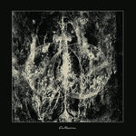 the album cover for Devouring Star - Antihedron