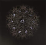 the album cover for Vassafor - Elegy Of The Archeonaut