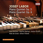 the album cover for Labor / Karmon / Triendl - Piano Quintet 3
