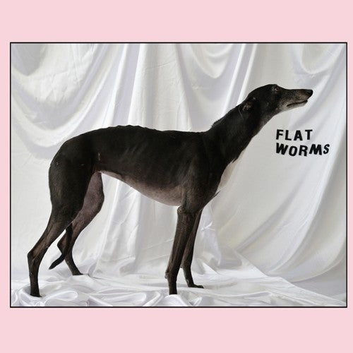 the album cover for Flat Worms - Flat Worms