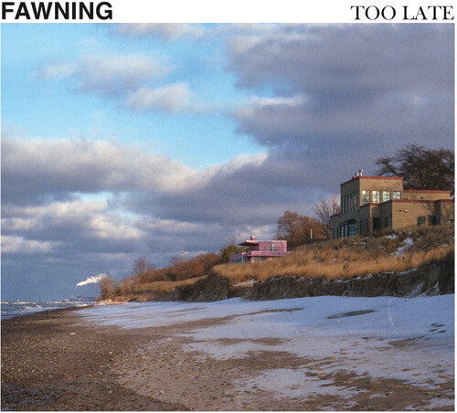 Fawning - Too Late (indie Exclusive) (Vinyl)