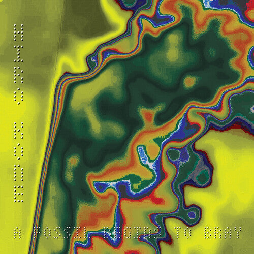 Hiro Kone - A Fossil Begins To Bray (Vinyl)