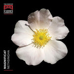 the album cover for Magnificat / Various - Magnificat