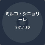 the album cover for Mirko Signorile - Magnolia