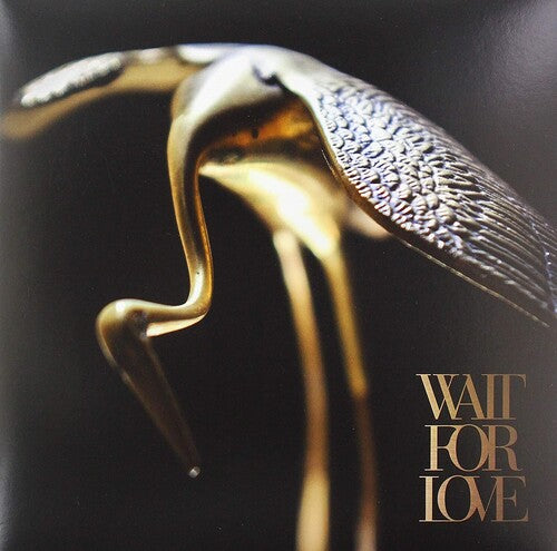 Los pianos se convierten en los dientes - Wait For Love (Vinilo)