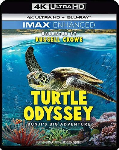 Turtle Odyssey (4K Ultra HD)