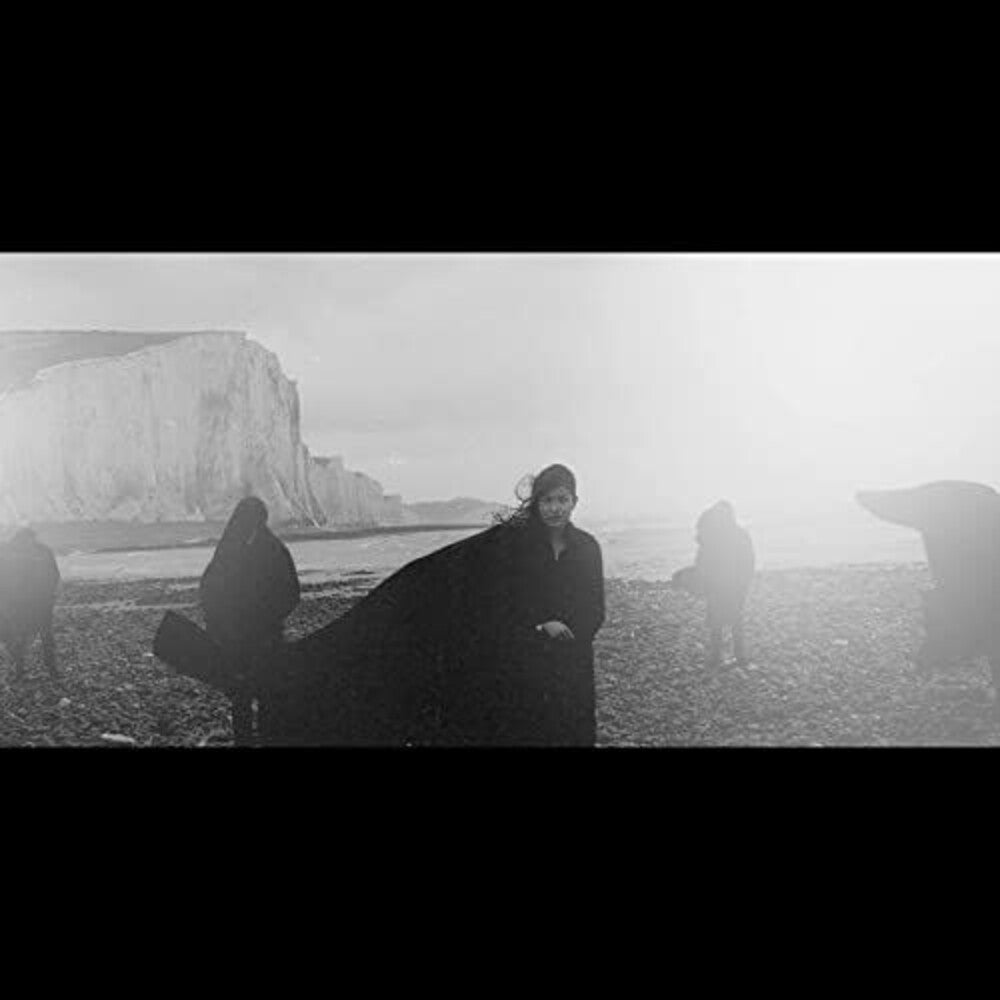 the album cover for Dog In The Snow - Vanishing Lands