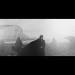 the album cover for Dog In The Snow - Vanishing Lands