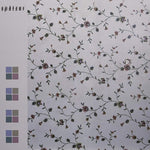 Spatzer - Derive (Vinilo)