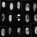 Gray - Shades Of (CD)