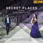 the album cover for Diverse / Twionlins - Secret Places
