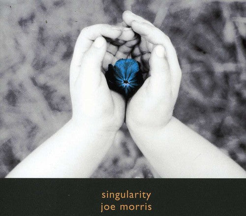 the album cover for Joe Morris - Singularity