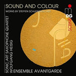 the album cover for Steffen Schleiermacher / Ensemble Avantgarde - Sound & Colour