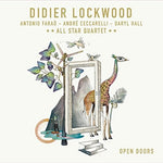 the album cover for Didier Lockwood - Open Doors
