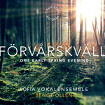 the album cover for Various Artists - Forvarskvall