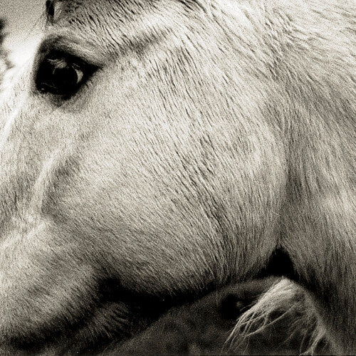 Bonny Light Horseman - Bonny Light Horseman (Vinyl)