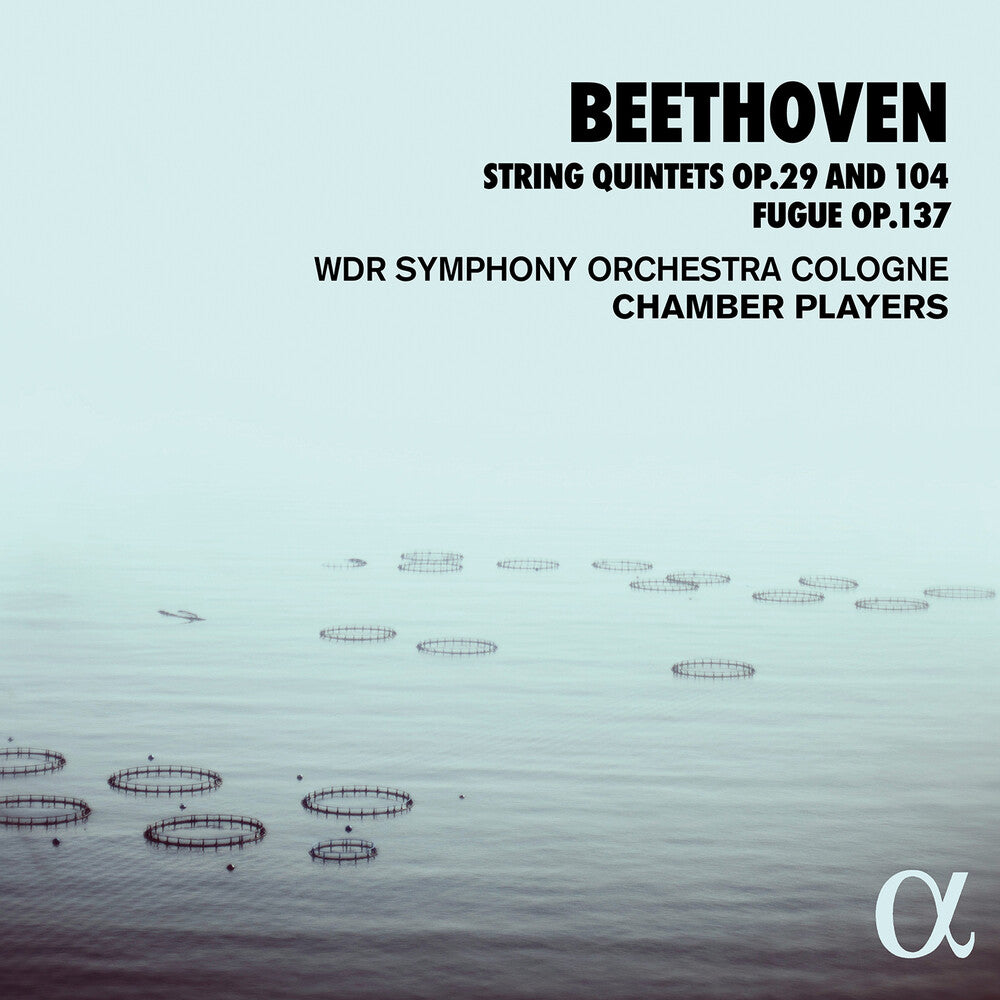 the album cover for Beethoven - String Quintets 29 & 104