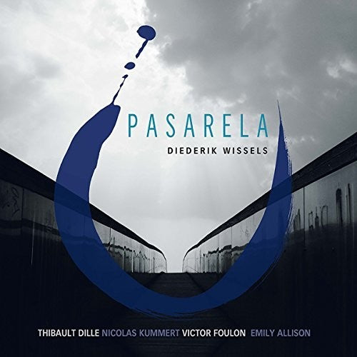 the album cover for Diederik Wissels - Pasarela