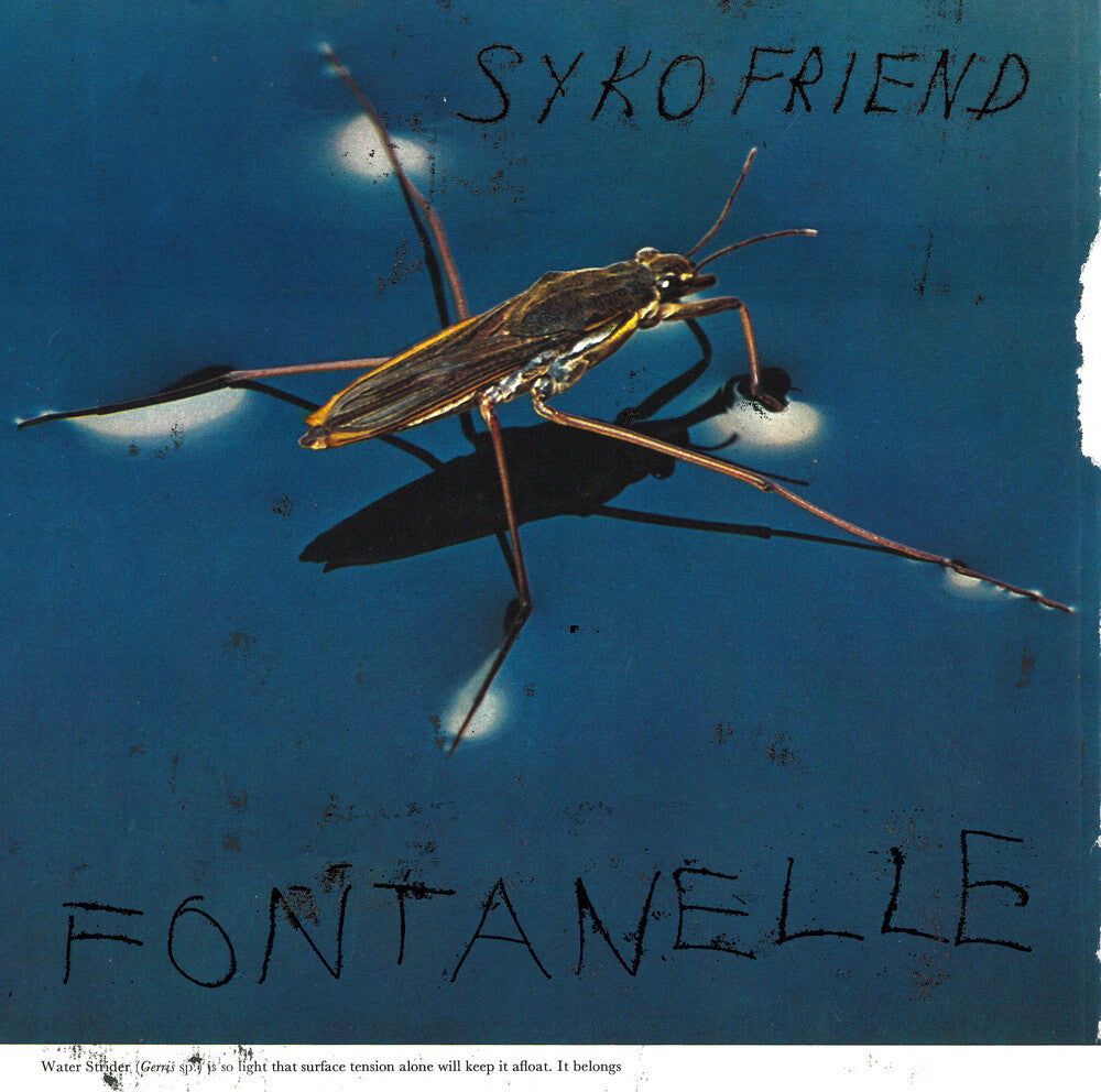 the album cover for Syko Friend - Fontanelle