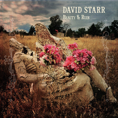 デヴィッド・スター - ビューティー・アンド・ルイン (CD)